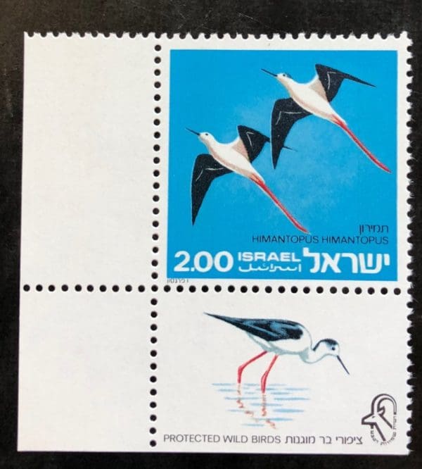 Israel Scott # 579 MNH