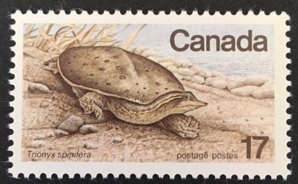 Canadian Scott # 813 Mint Never Hinged