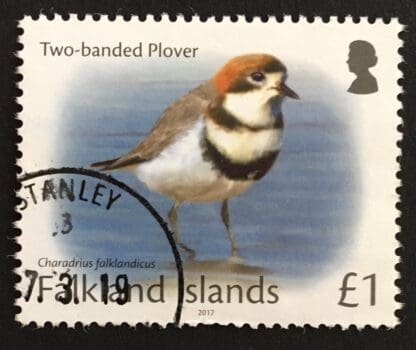 Falkland Islands Scott #1195 Used