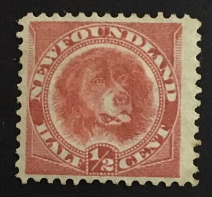 Newfoundland Scott # 57 Mint Hinged