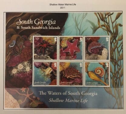 South Georgia Scott #443 Mint Never Hinged