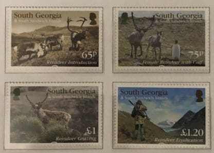 South Georgia Scott #502-505 Mint Never Hinged