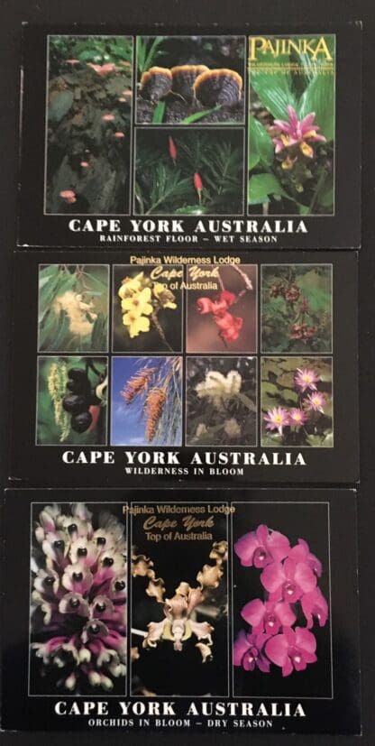 Australia Cape York Post Card Set of 3