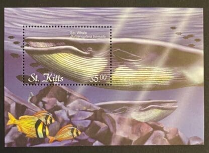 St. Kitts Scott #524 Mint Never Hinged