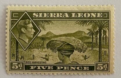 Sierra Leone Scott # 179 Mint Never Hinged