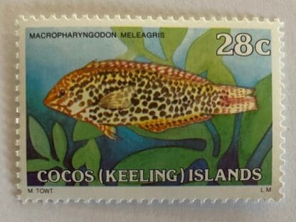 Cocos Keeling Islands Scott # 42 Mint Never Hinged