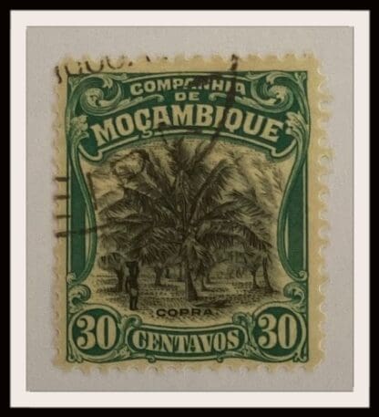 Mozambique Company 134 Used