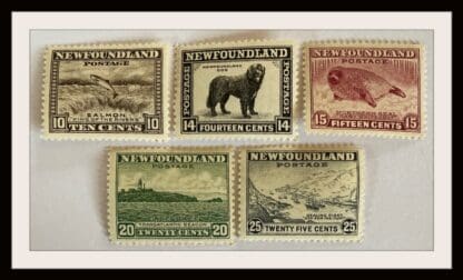 Newfoundland Scott # 193-197 Mint Hinged