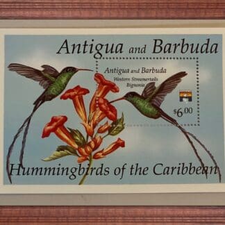 Antigua & Barbuda