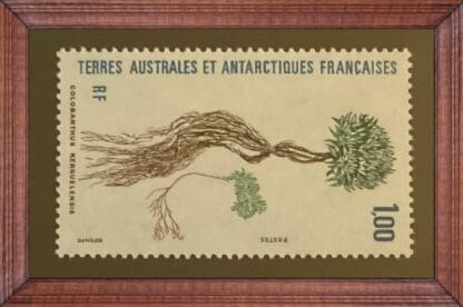 French Southern Antarctic Territory Scott # 166 Mint Never Hinged