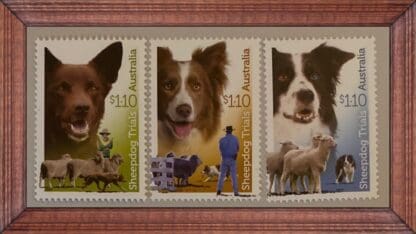 Australia Sheep Dog Trials Mint Never Hinged