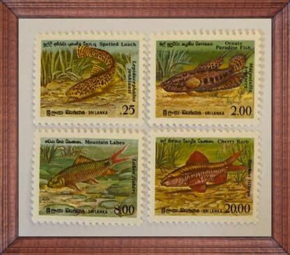 Sri Lanka Scott # 977-980 Mint Never Hinged