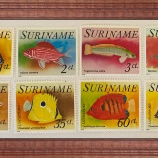 Surinam Scott # 447-451/C55-C57 Mint Never Hinged