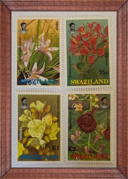 Swaziland Scott #588-591 Mint Never Hinged