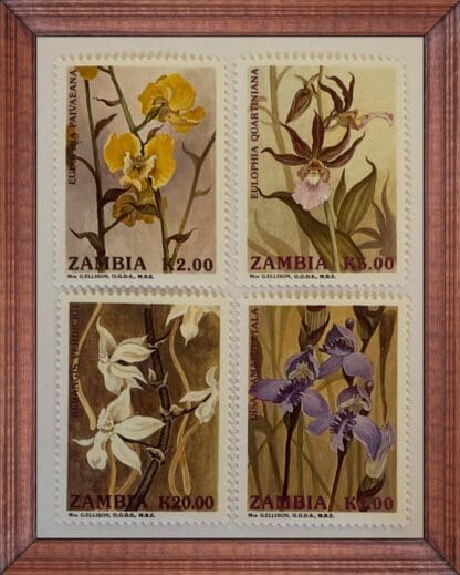 Zambia Scott # 566-569 Mint Never Hinged