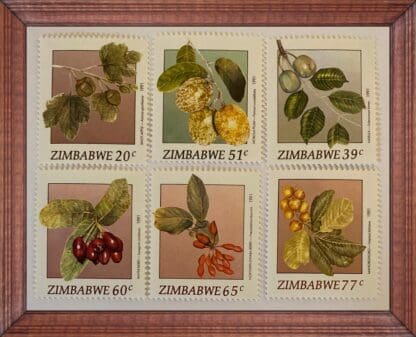 Zimbabwe Scott # 642-647 Mint Never Hinged