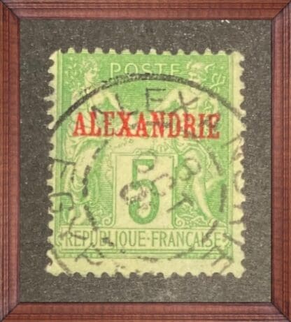 Alexandria Scott # 5 Used