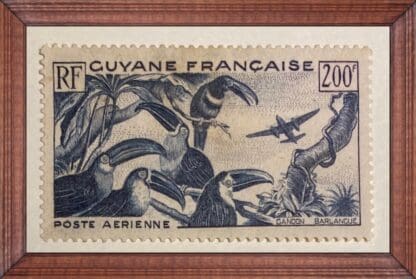 French Guiana Scott # C20 Mint NO GUM