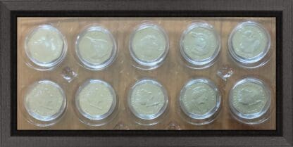 Falkland Islands 2019 Penguin Coin Set of 5 Uncirculated