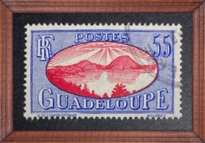 Guadalupe Scott # 111 Used