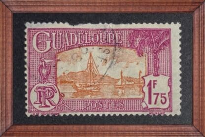 Guadalupe Scott # 129 Used