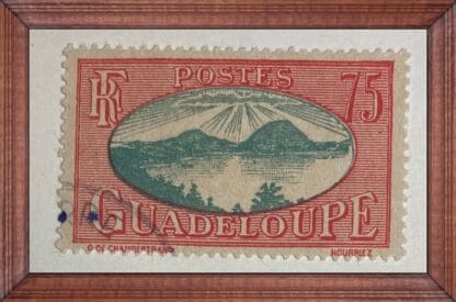 Guadalupe Scott # 115 Used