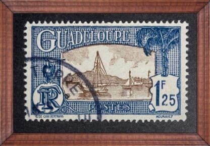 Guadalupe Scott # 124 Used