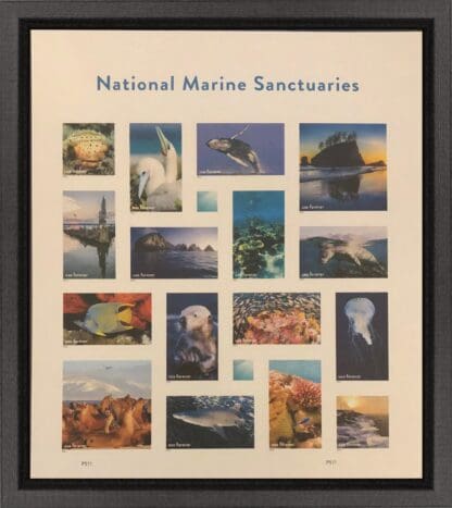 Scott # 5713 National Marine Sanctuaries Mint Never Hinged Sheetlet