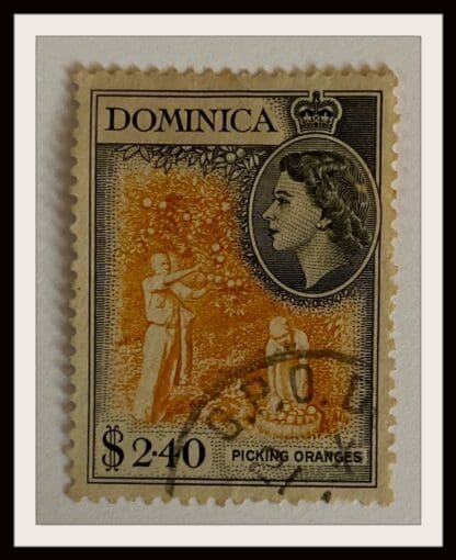 Dominica Scott # 156 Used