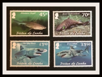 Tristan da Cunha Sharks 2021 Mint Never Hinged