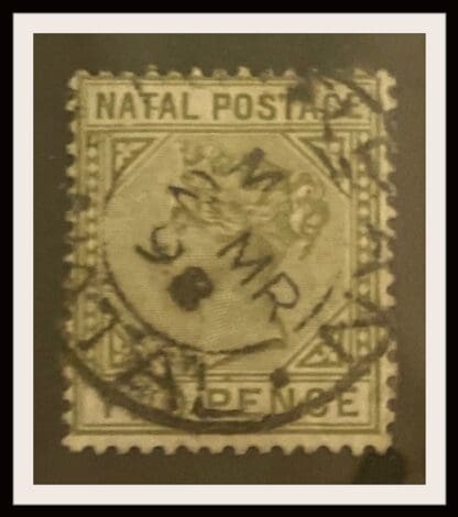 Natal Scott # 74 Used