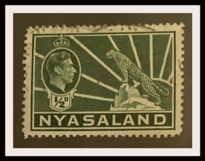 Nyasaland Scott # 54 Used