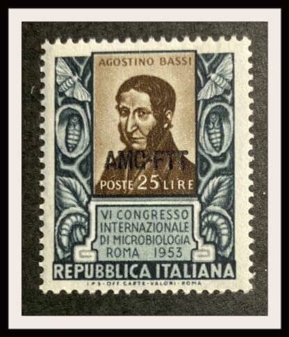 Italy Trieste Scott #187 Mint Never Hinged