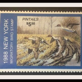 Duck Stamps New York #5 MNH