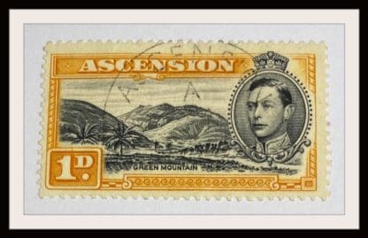 Ascension Scott #41A Used