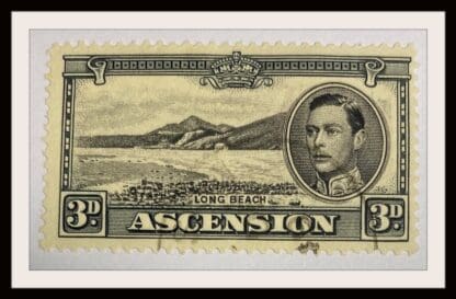 Ascension Scott # 44A Used