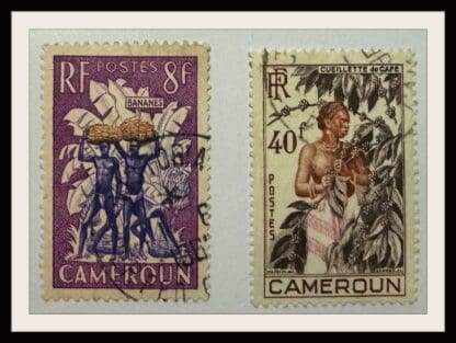 Cameroun Scott #332/325 Used