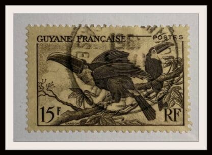 French Guiana # 205 Used