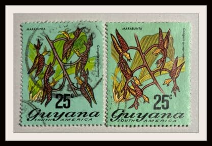 Guyana Scott # 144-141a Used