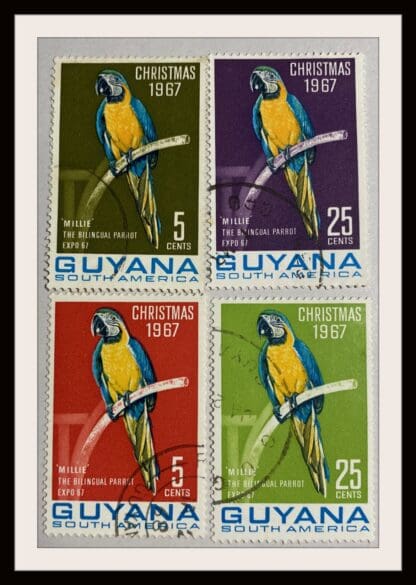 Guyana Scott # 33-35 Used