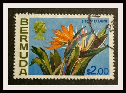 Bermuda Scott #327 Used