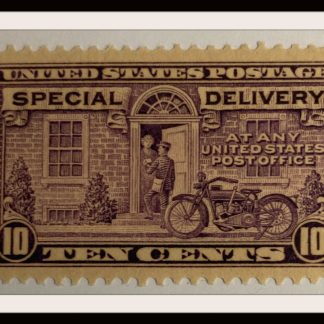 Scott # E15 Mint Hinged