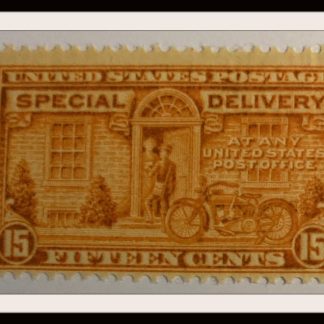 Scott # E16 Mint Never Hinged